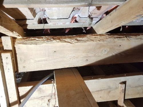 Traitement de charpente contre les capricornes à Beaucaire